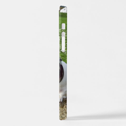 Capo von Oppenheim Jack Russell Terrier, Dog iPhone Hülle (Linke Seite)