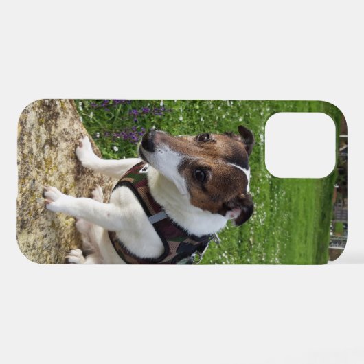 Capo von Oppenheim Jack Russell Terrier, Dog iPhone Hülle (Rückseite (Horizontal))