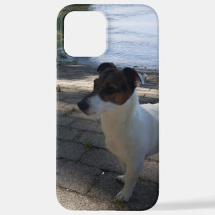 Capo von Oppenheim, Jack Russell Terrier Dog iPhone 12 Pro Max Hülle