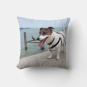 Capo von Oppenheim, Jack Russell Terrier Dog Kissen
