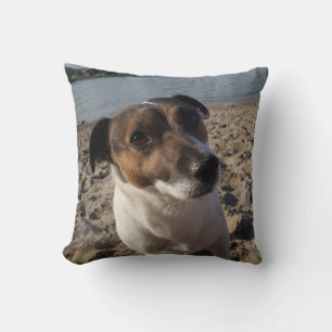 Capo von Oppenheim Jack Russell Terrier, Dog Kissen