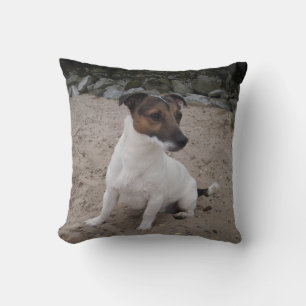 Capo von Oppenheim Jack Russell Terrier, Dog Kissen