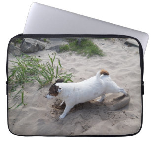 Capo von Oppenheim Jack Russell Terrier, Dog Laptopschutzhülle