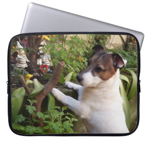 Capo von Oppenheim Jack Russell Terrier, Dog Laptopschutzhülle