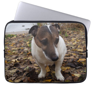 Capo von Oppenheim Jack Russell Terrier, Dog Laptopschutzhülle