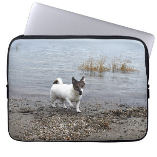 Capo von Oppenheim Jack Russell Terrier, Dog Laptopschutzhülle