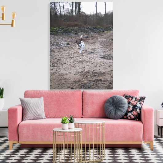 Capo von Oppenheim, Jack Russell Terrier, Dog Leinwanddruck (Insitu (Wohnzimmer))