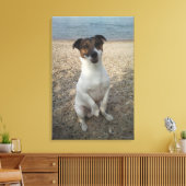 Capo von Oppenheim, Jack Russell Terrier, Dog Leinwanddruck (Insitu (Wohnzimmer))