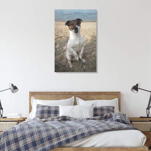 Capo von Oppenheim, Jack Russell Terrier, Dog Leinwanddruck (Insitu (Schlafzimmer))