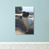 Capo von Oppenheim, Jack Russell Terrier, Dog Leinwanddruck (Insitu (Holzboden))