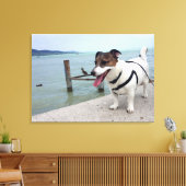 Capo von Oppenheim, Jack Russell Terrier Dog Leinwanddruck (Insitu (Wohnzimmer))