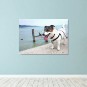 Capo von Oppenheim, Jack Russell Terrier Dog Leinwanddruck (Insitu (Holzboden))