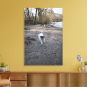 Capo von Oppenheim, Jack Russell Terrier, Dog Leinwanddruck (Insitu (Wohnzimmer))