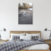 Capo von Oppenheim, Jack Russell Terrier, Dog Leinwanddruck (Insitu (Schlafzimmer))