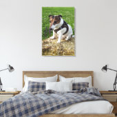 Capo von Oppenheim, Jack Russell Terrier, Dog Leinwanddruck (Insitu (Schlafzimmer))