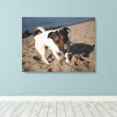 Capo von Oppenheim, Jack Russell Terrier, Dog Leinwanddruck (Insitu (Holzboden))
