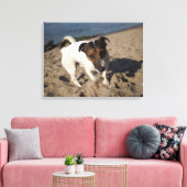 Capo von Oppenheim, Jack Russell Terrier, Dog Leinwanddruck (Insitu (Wohnzimmer))
