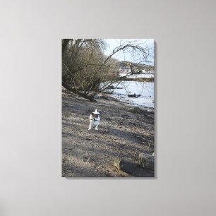 Capo von Oppenheim, Jack Russell Terrier, Dog Leinwanddruck