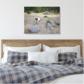 Capo von Oppenheim, Jack Russell Terrier, Dog Leinwanddruck (Insitu (Schlafzimmer))