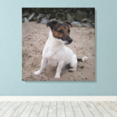 Capo von Oppenheim, Jack Russell Terrier, Dog Leinwanddruck (Insitu (Holzboden))