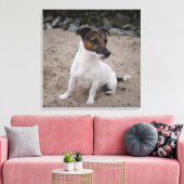 Capo von Oppenheim, Jack Russell Terrier, Dog Leinwanddruck (Insitu (Wohnzimmer))
