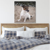 Capo von Oppenheim, Jack Russell Terrier, Dog Leinwanddruck (Insitu (Schlafzimmer))