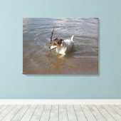 Capo von Oppenheim, Jack Russell Terrier, Dog Leinwanddruck (Insitu (Holzboden))
