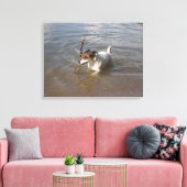 Capo von Oppenheim, Jack Russell Terrier, Dog Leinwanddruck (Insitu (Wohnzimmer))