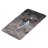 Capo von Oppenheim, Jack Russell Terrier Dog Magne Magnet (Linke Seite)