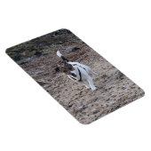 Capo von Oppenheim, Jack Russell Terrier Dog Magne Magnet (Rechte Seite)