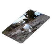 Capo von Oppenheim, Jack Russell Terrier Dog Magne Magnet (Linke Seite)