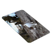 Capo von Oppenheim, Jack Russell Terrier Dog Magne Magnet (Rechte Seite)