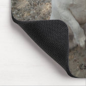 Capo von Oppenheim Jack Russell Terrier, Dog Mousepad (Ecke)