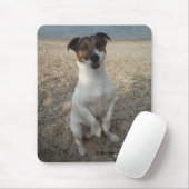 Capo von Oppenheim Jack Russell Terrier, Dog Mousepad (Mit Mouse)