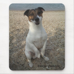 Capo von Oppenheim Jack Russell Terrier, Dog Mousepad