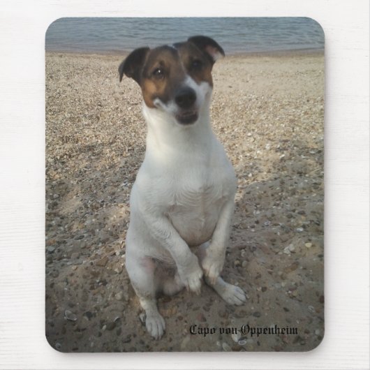 Capo von Oppenheim Jack Russell Terrier, Dog Mousepad (Vorne)