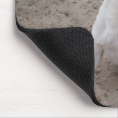Capo von Oppenheim Jack Russell Terrier, Dog Mousepad (Ecke)