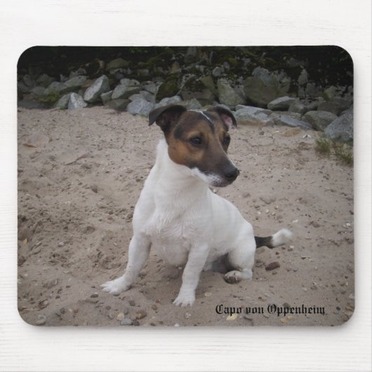 Capo von Oppenheim Jack Russell Terrier, Dog Mousepad (Vorne)