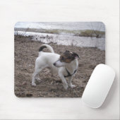 Capo von Oppenheim Jack Russell Terrier, Dog Mousepad (Mit Mouse)