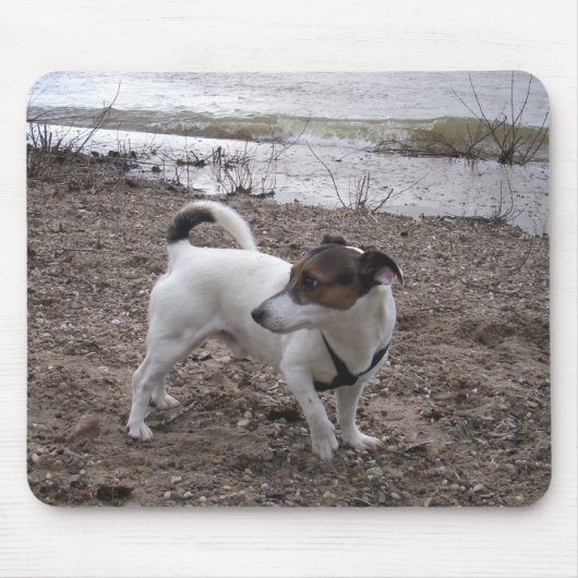 Capo von Oppenheim Jack Russell Terrier, Dog Mousepad (Vorne)