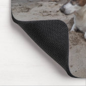 Capo von Oppenheim Jack Russell Terrier, Dog Mousepad (Ecke)