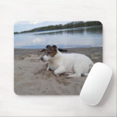 Capo von Oppenheim Jack Russell Terrier, Dog Mousepad (Mit Mouse)