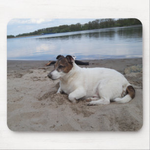 Capo von Oppenheim Jack Russell Terrier, Dog Mousepad