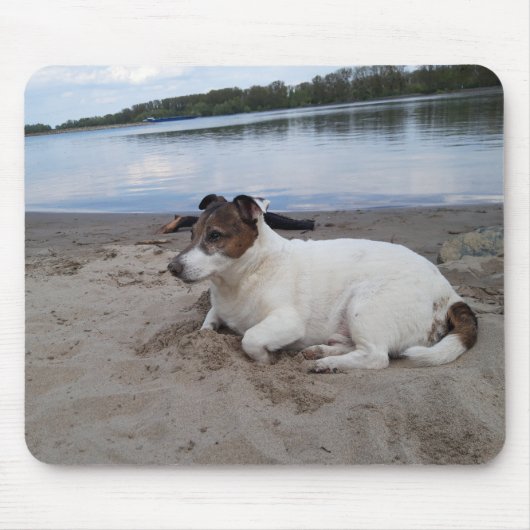 Capo von Oppenheim Jack Russell Terrier, Dog Mousepad (Vorne)