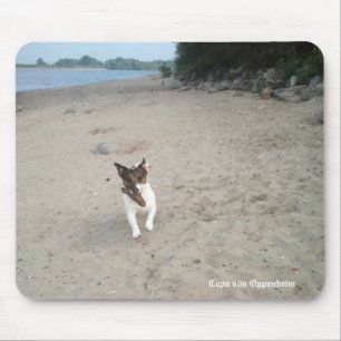 Capo von Oppenheim Jack Russell Terrier, Dog Mousepad