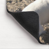 Capo von Oppenheim Jack Russell Terrier, Dog Mousepad (Ecke)