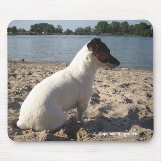 Capo von Oppenheim Jack Russell Terrier, Dog Mousepad (Vorne)