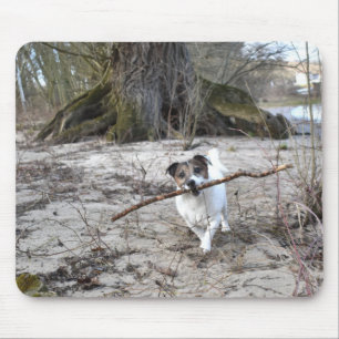 Capo von Oppenheim Jack Russell Terrier, Dog Mousepad