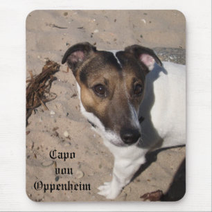 Capo von Oppenheim Jack Russell Terrier, Dog Mousepad