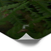 Capo von Oppenheim, Jack Russell Terrier dog Poster (Ecke)